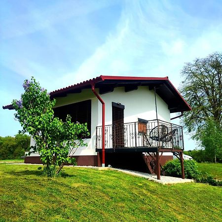 Apartma Kapelski Fant Sveti Jurij ob Scavnici Buitenkant foto