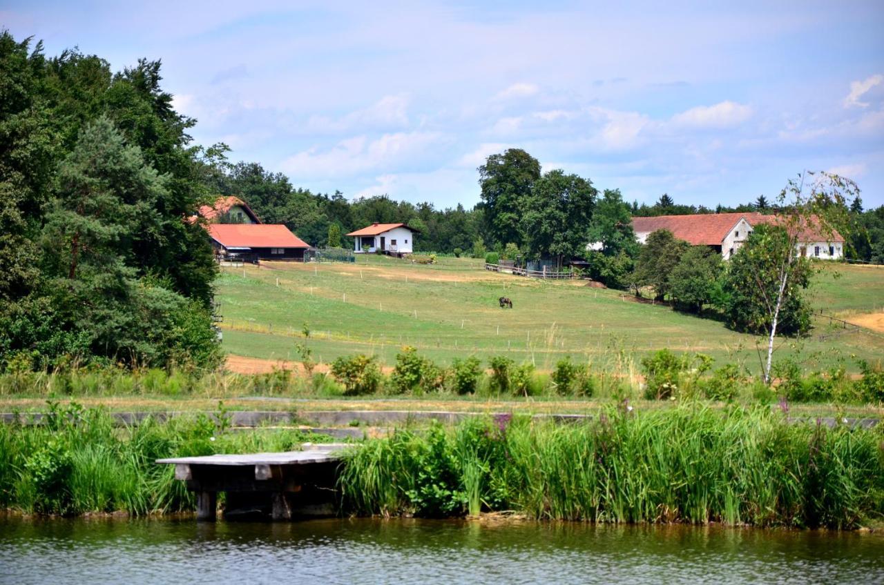 Apartma Kapelski Fant Sveti Jurij ob Scavnici Buitenkant foto