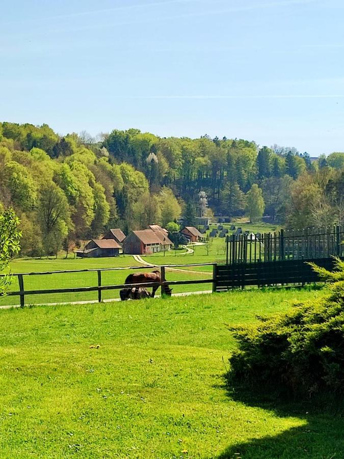 Apartma Kapelski Fant Sveti Jurij ob Scavnici Buitenkant foto