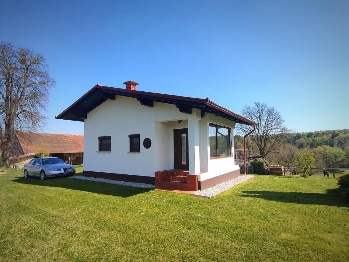 Apartma Kapelski Fant Sveti Jurij ob Scavnici Buitenkant foto