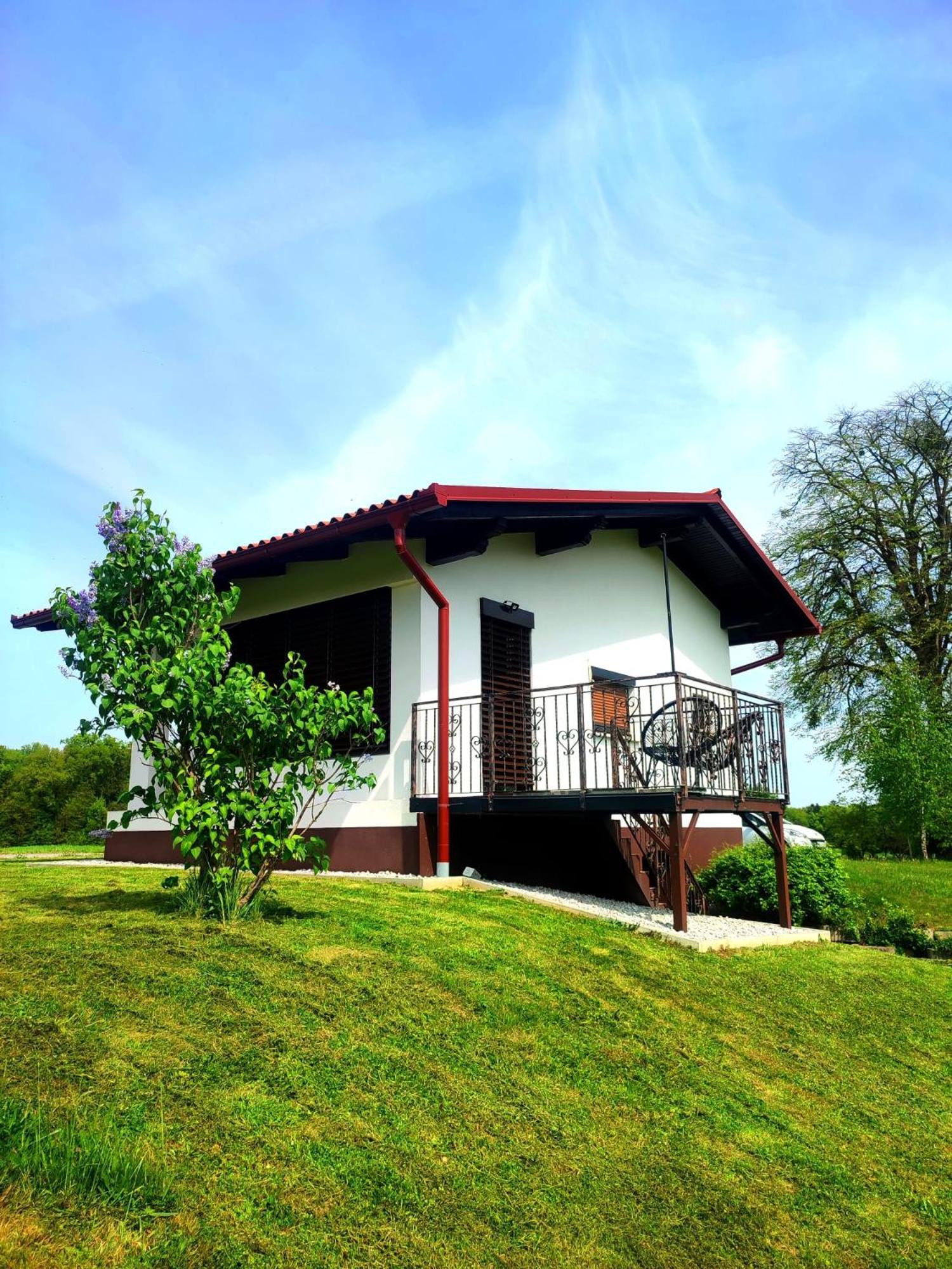 Apartma Kapelski Fant Sveti Jurij ob Scavnici Buitenkant foto